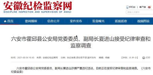 新闻报料爆料流程视频教程,视频教程全面解析